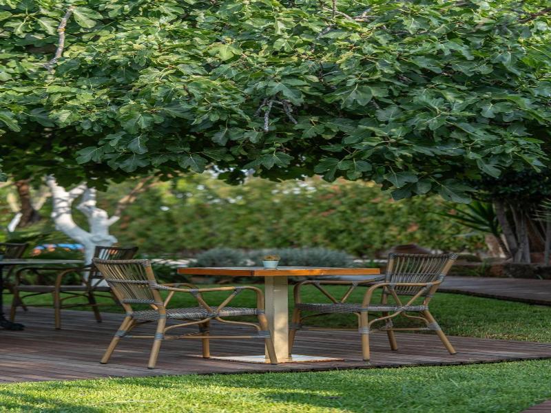 Boho Suites Denia image