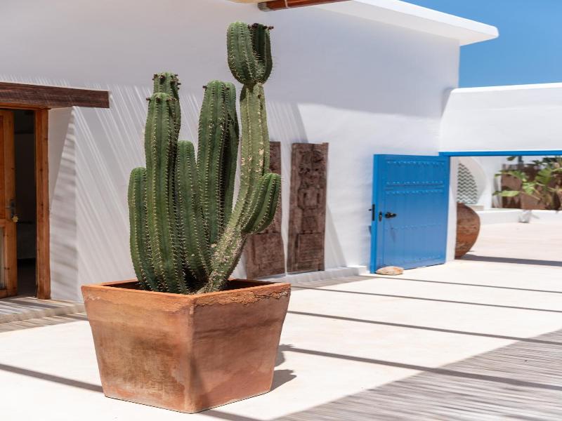 Boho Suites Denia image