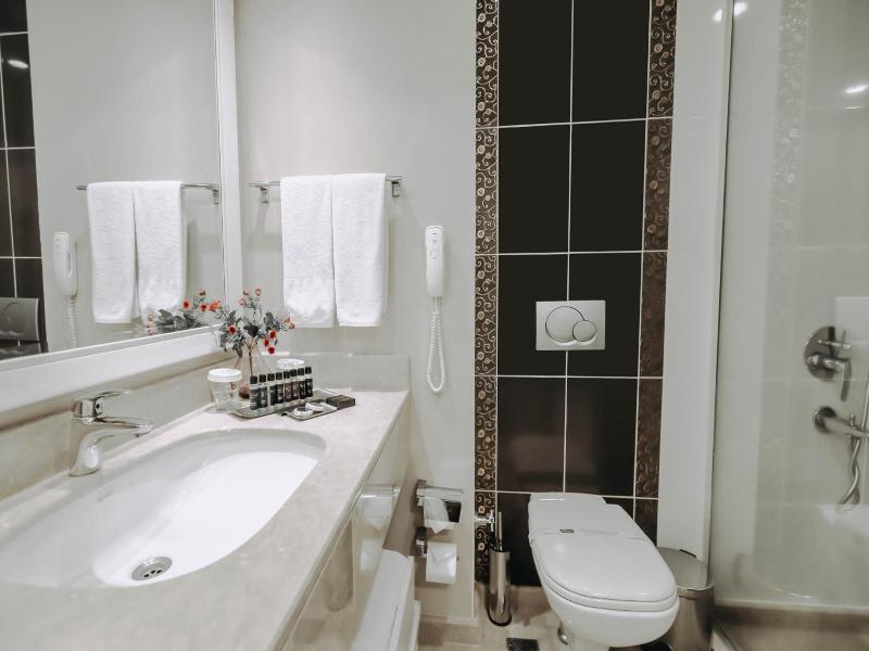 New Park Hotel image