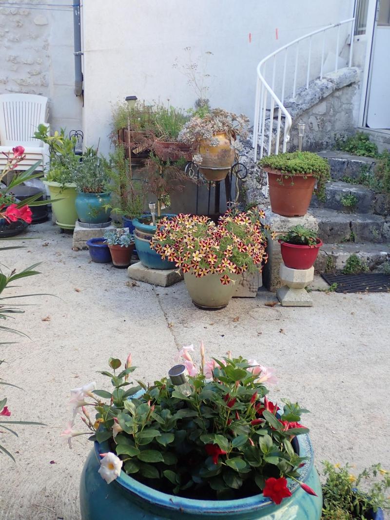 La Miramboise image