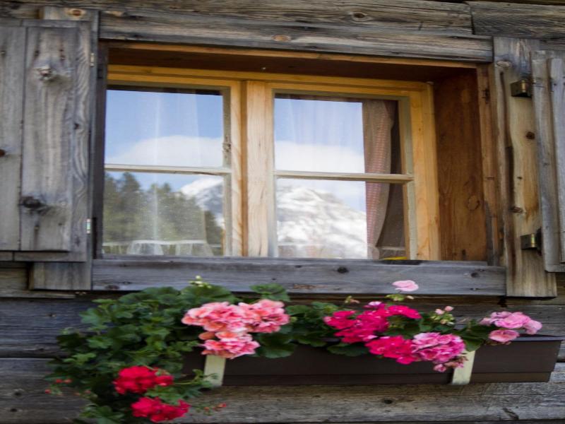 Alpengasthof Zollwirt image