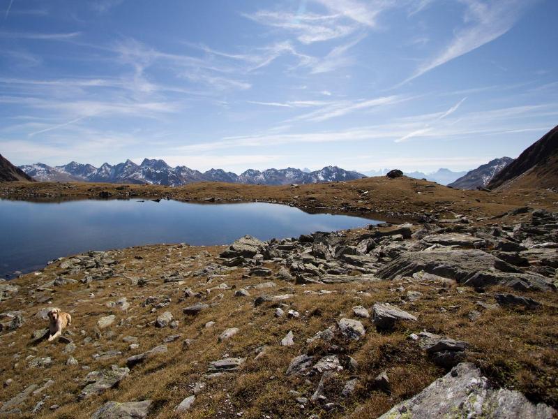 Alpengasthof Zollwirt image