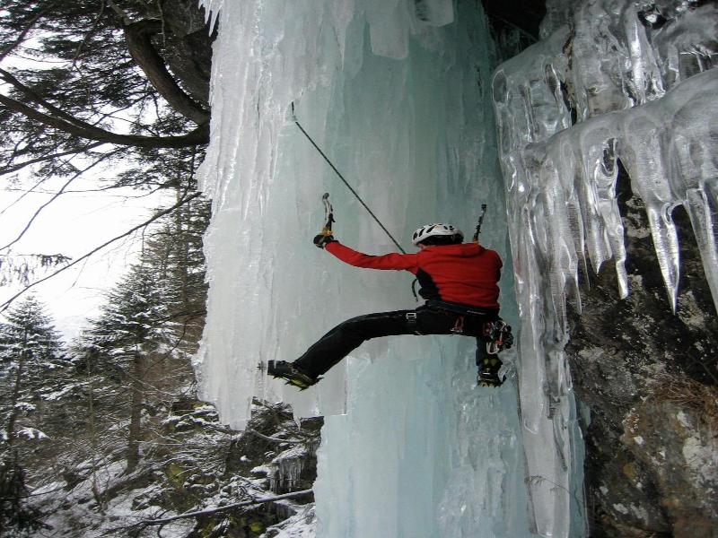 Alpengasthof Zollwirt image