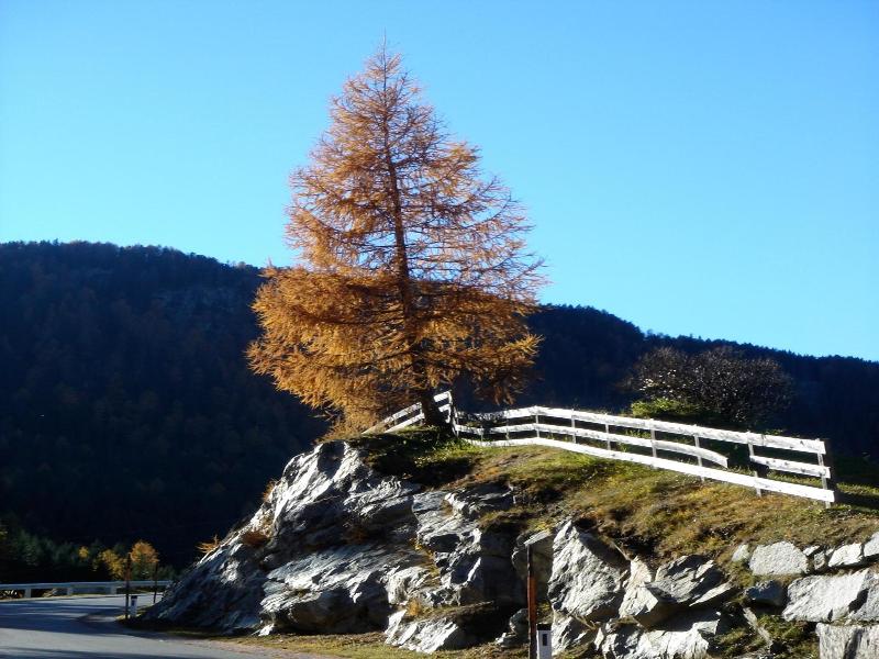 Alpengasthof Zollwirt image