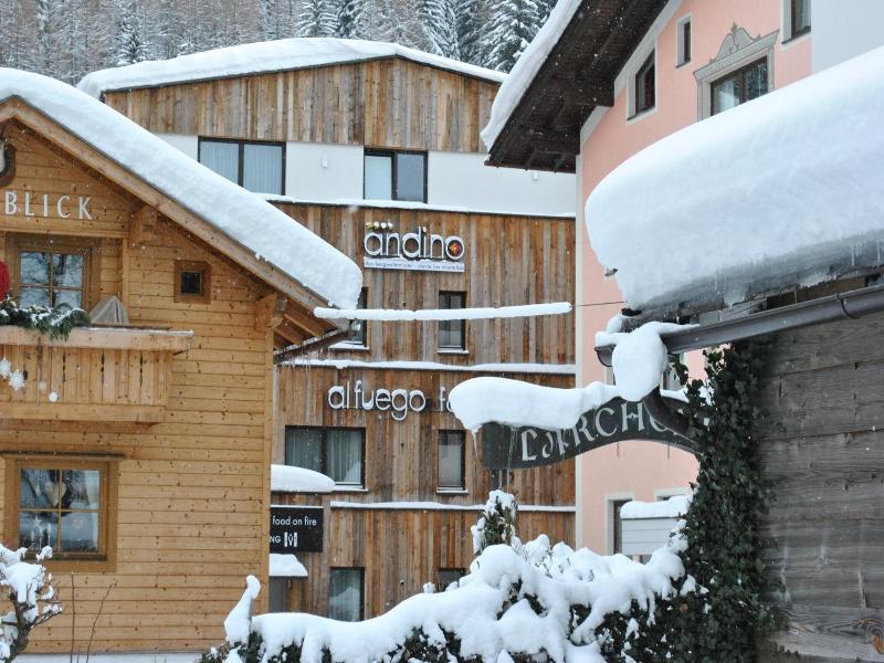 Hotel Andino image