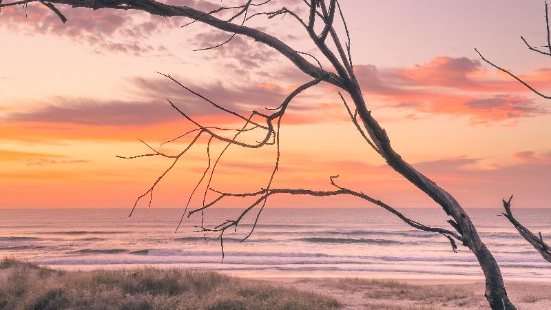 Essence Peregian Beach