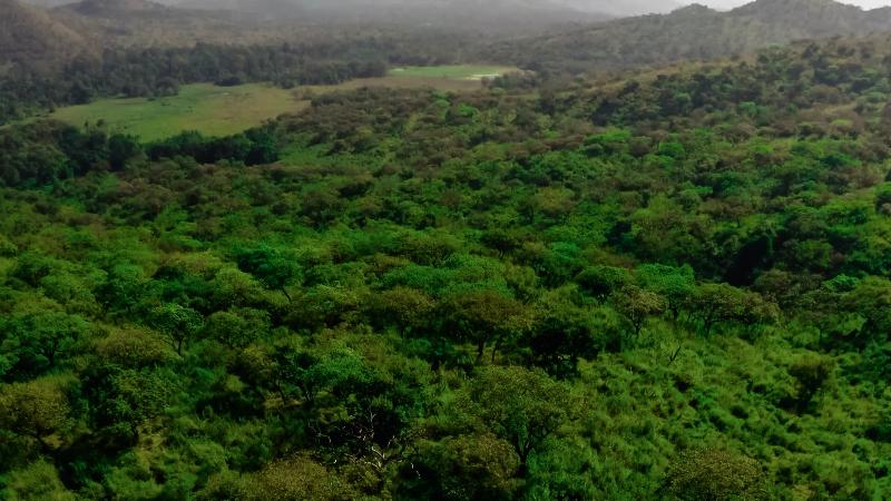 Chebera Elephant Paw Lodge image