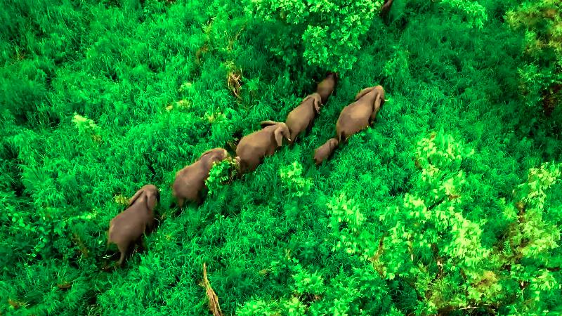 Chebera Elephant Paw Lodge image