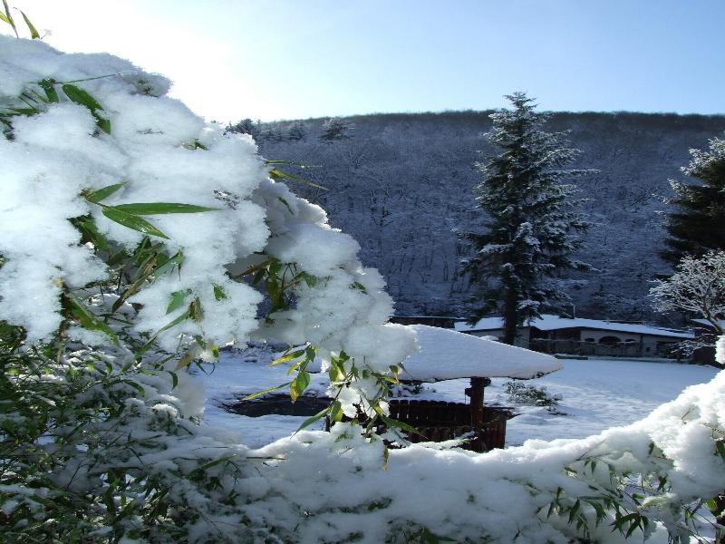 Hotel Forsthaus image