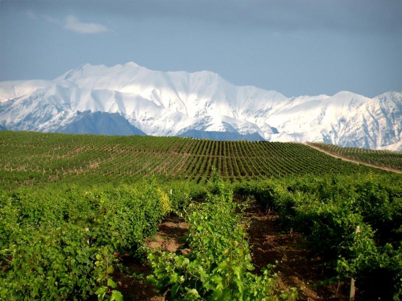 Chabiant Winery Hotel — general view