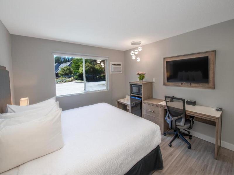 The Spot At Porpoise Bay Hotel & Marina image