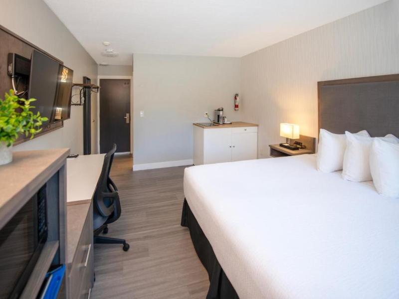 The Spot At Porpoise Bay Hotel & Marina image
