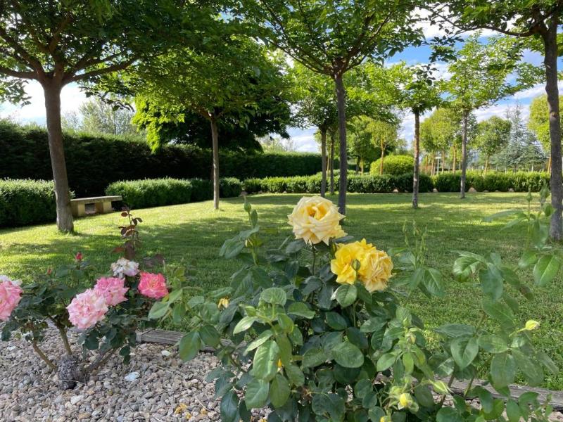 Natura Resorts image