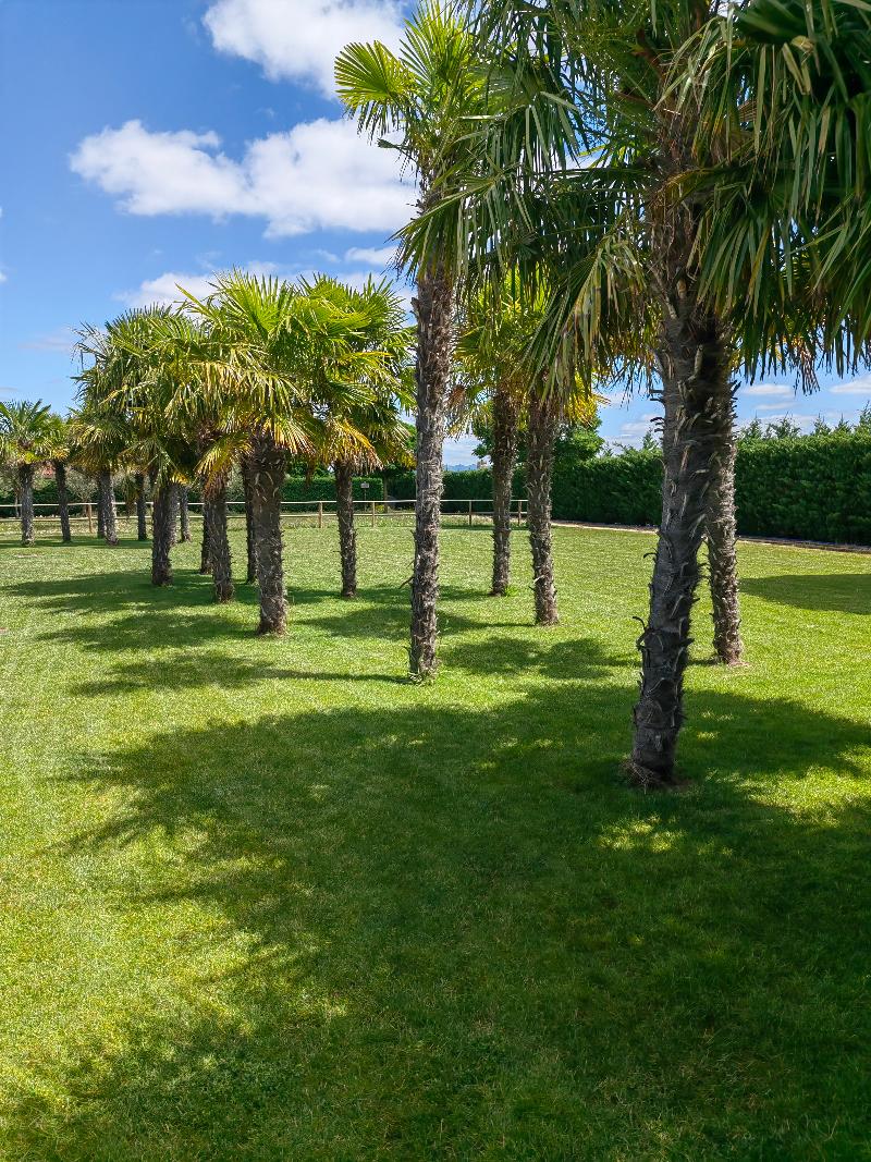 Natura Resorts image