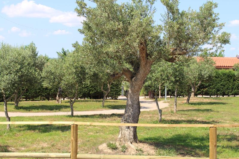 Natura Resorts image