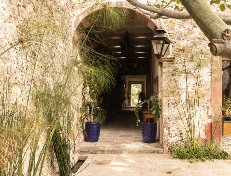 Orchid House San Miguel De Allende image