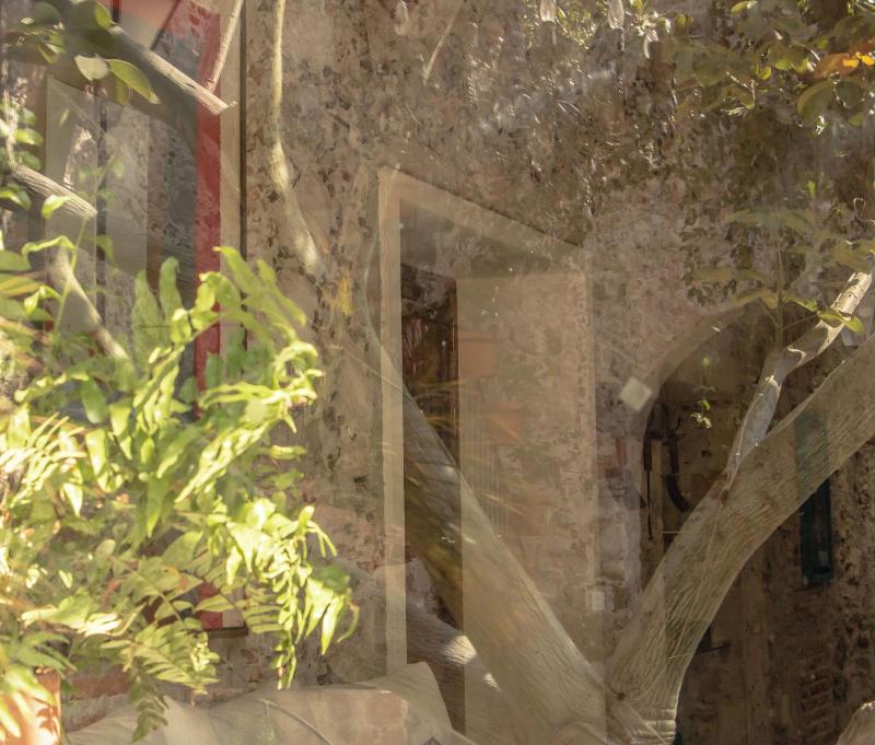 Orchid House San Miguel De Allende image