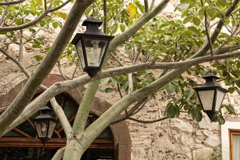 Orchid House San Miguel De Allende image