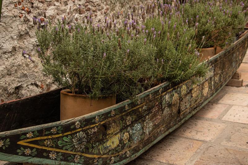 Orchid House San Miguel De Allende image