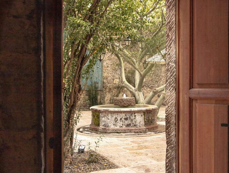 Orchid House San Miguel De Allende image