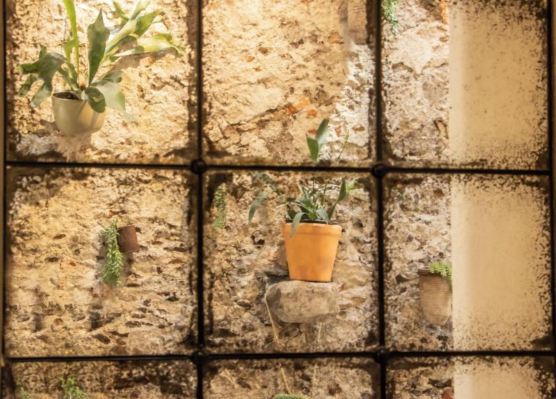 Orchid House San Miguel De Allende image