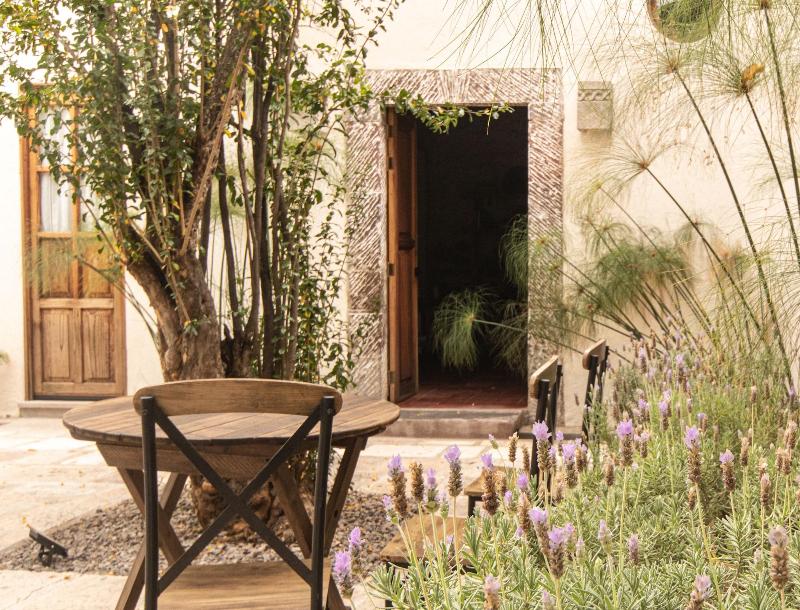Orchid House San Miguel De Allende image