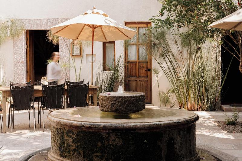 Orchid House San Miguel De Allende image
