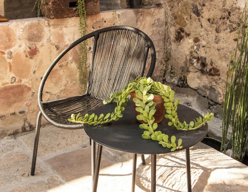 Orchid House San Miguel De Allende image