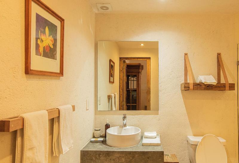 Orchid House San Miguel De Allende image