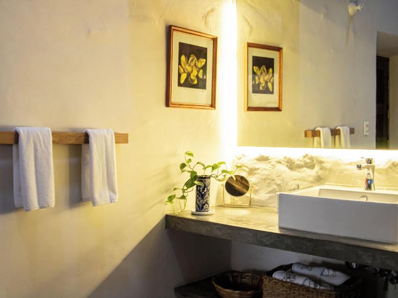 Orchid House San Miguel De Allende image