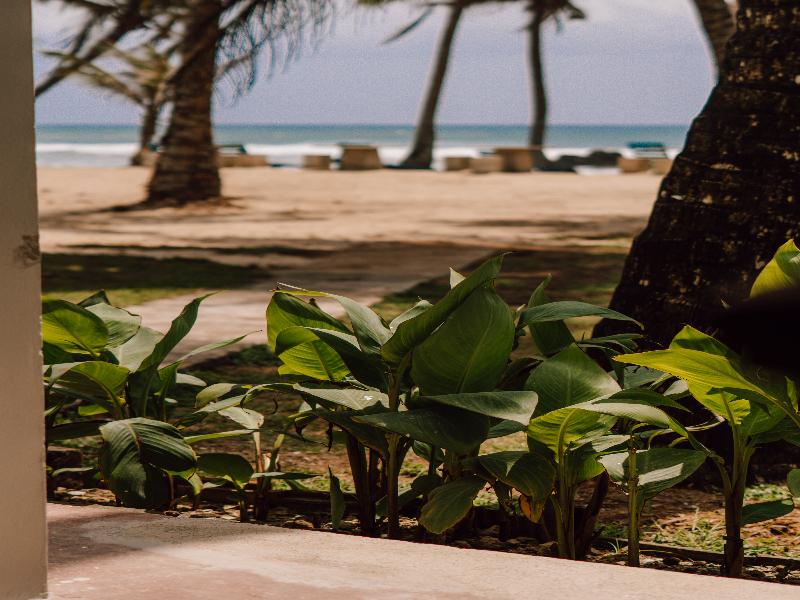Surfescape Sri Lanka image