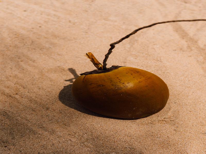 Surfescape Sri Lanka image