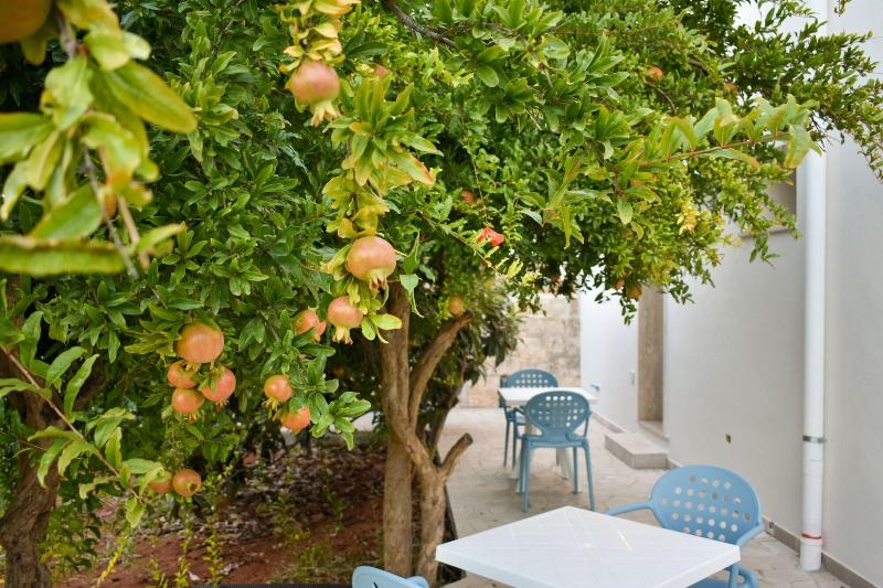 Ammarã¨a B&b image