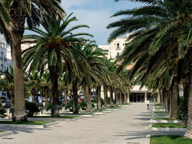 Hotel Yria image