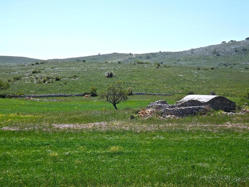 Hotel Yria image