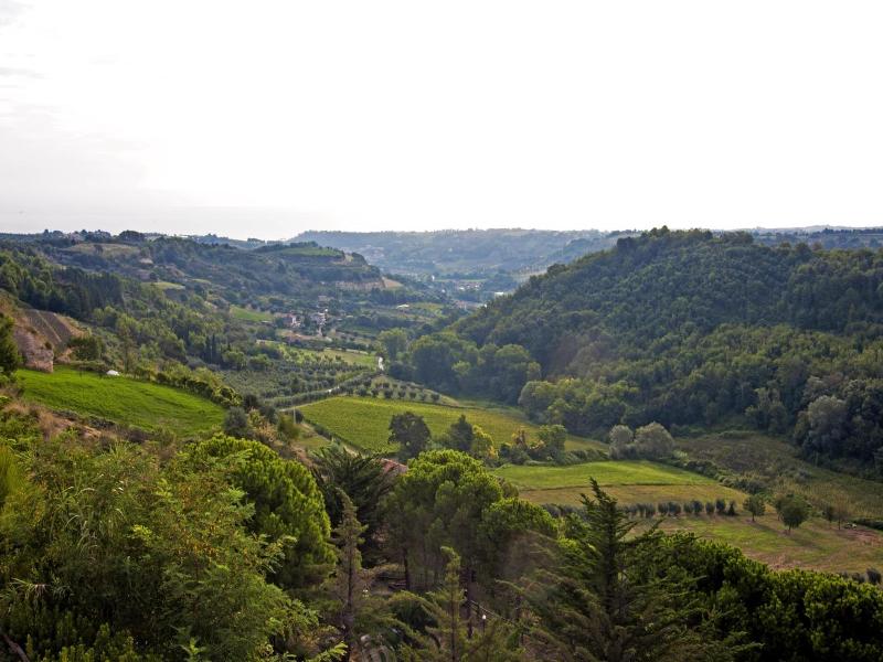Il Corbezzolo image