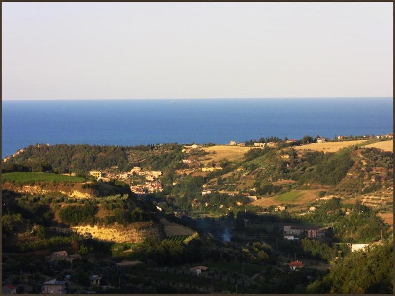 Il Corbezzolo image