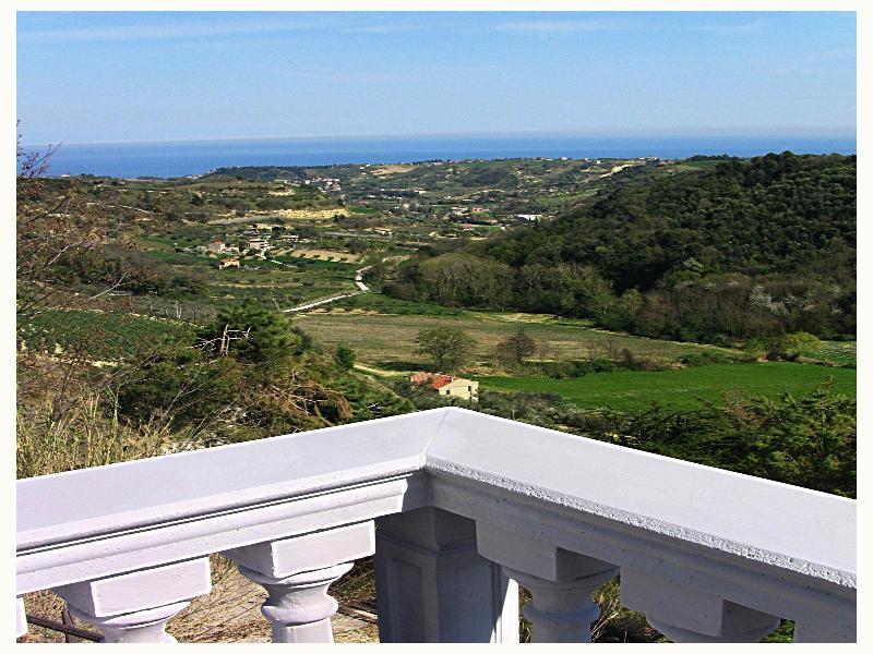 Il Corbezzolo image