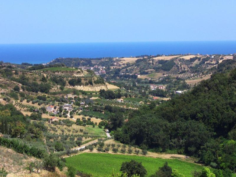 Il Corbezzolo image