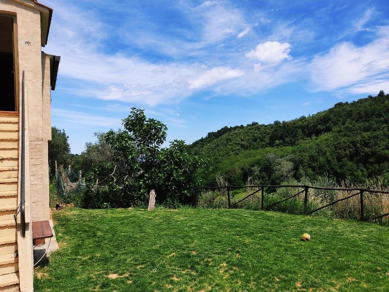 Il Corbezzolo image
