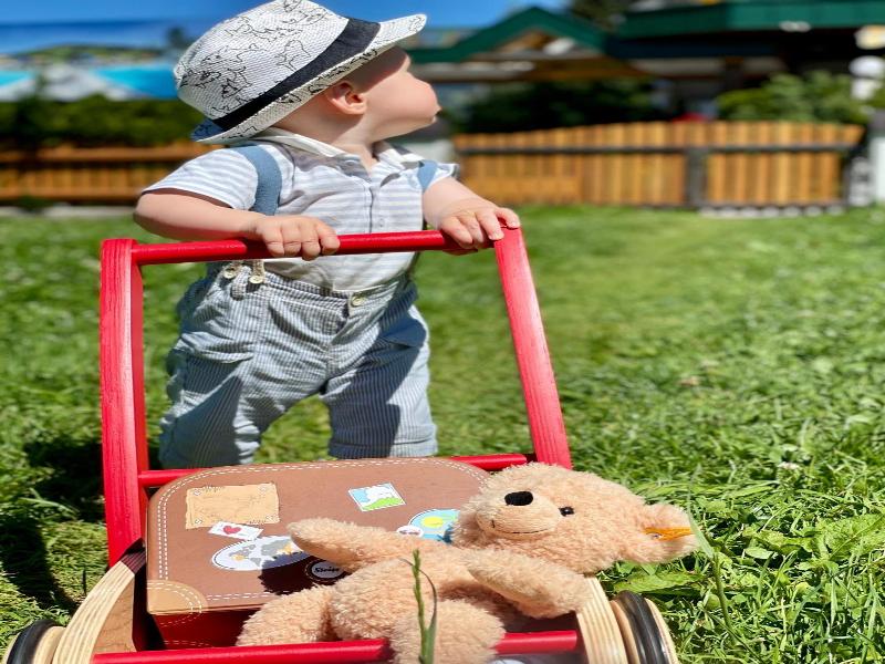 Wellness- Und Familienhotel Egger image