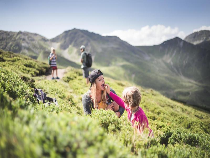 Wellness- Und Familienhotel Egger image