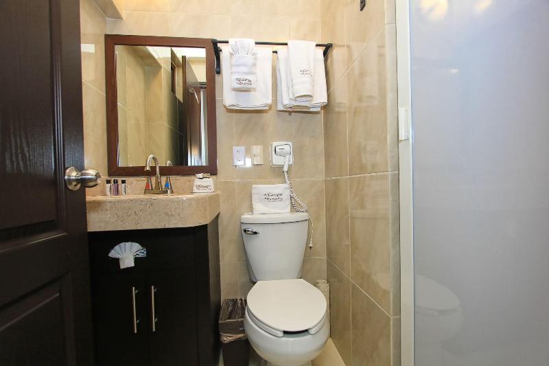 Hotel Plata Condesa image