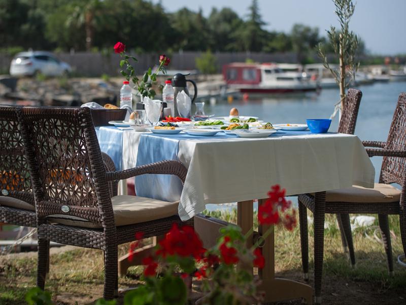 Deniz Kızı Green Garden image