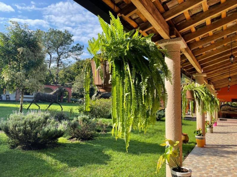 Hotel Boutique Finca De La Niebla Coatepec image