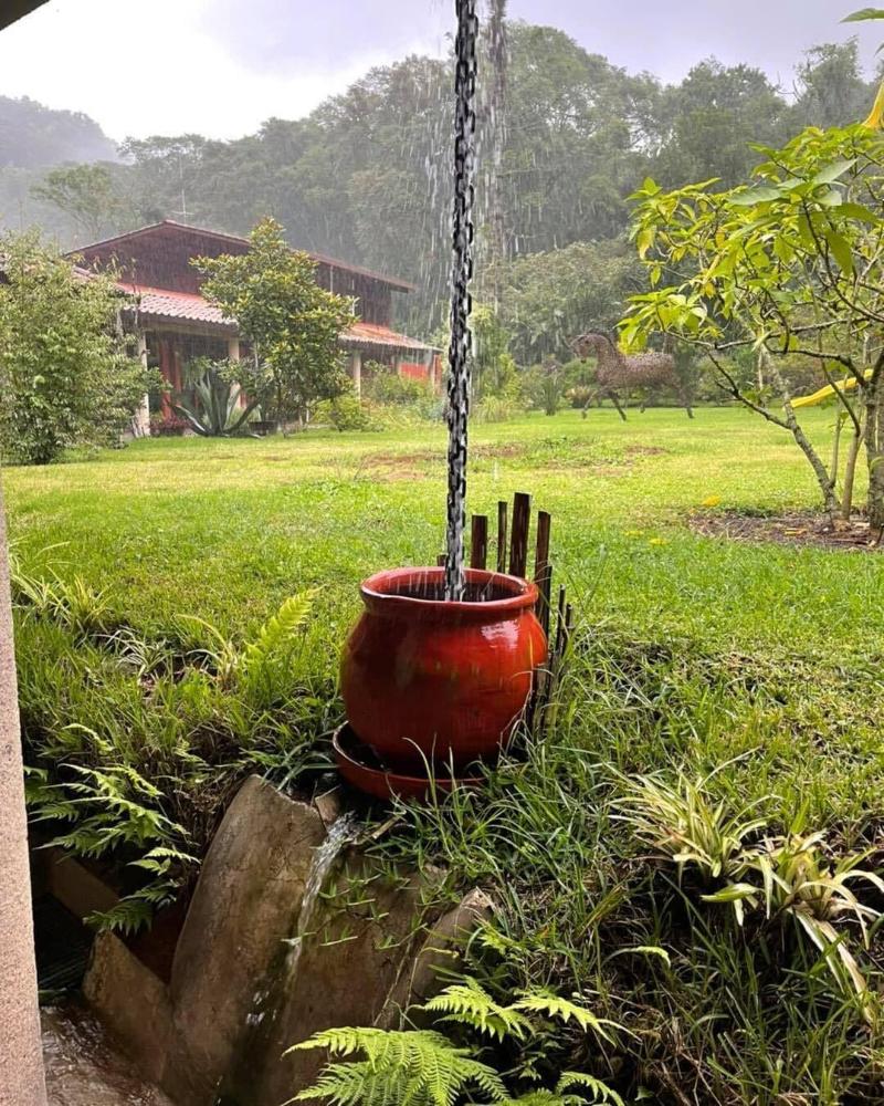 Hotel Boutique Finca De La Niebla Coatepec image