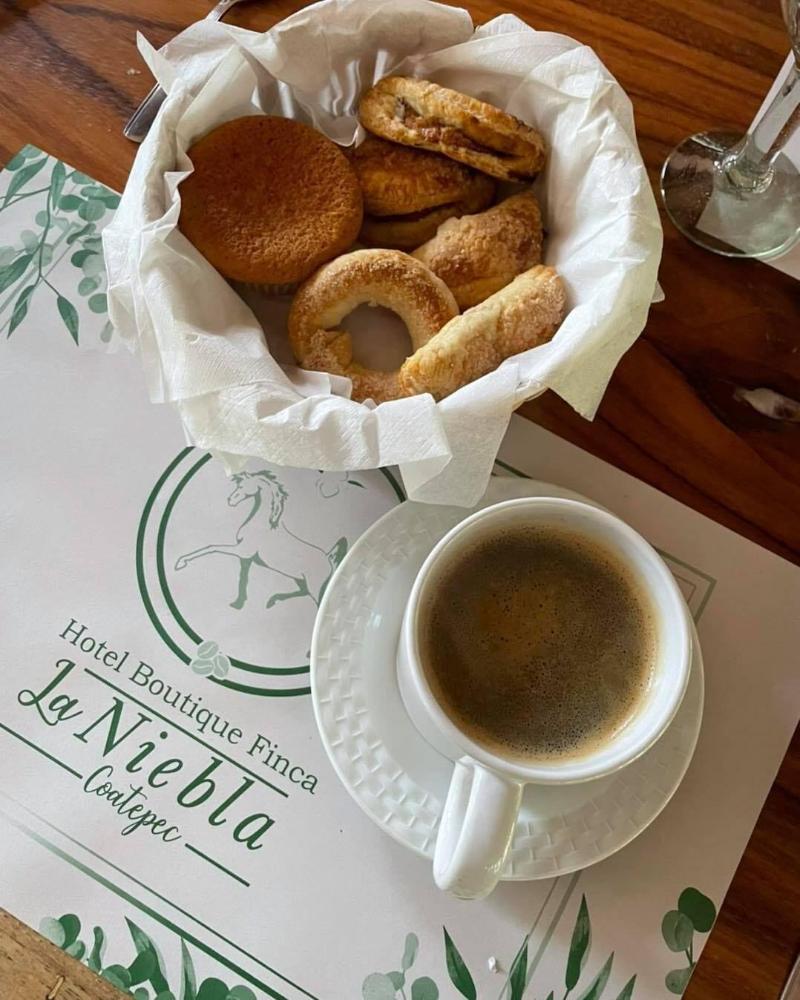 Hotel Boutique Finca De La Niebla Coatepec image