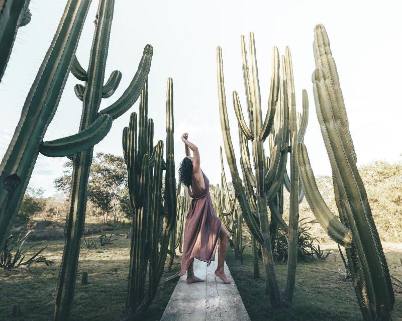 Hacienda San Antonio Millet image