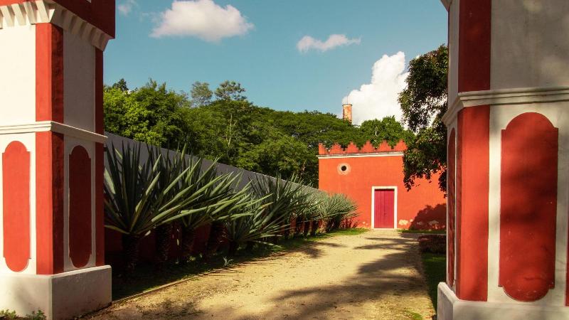 Hacienda San Antonio Millet image