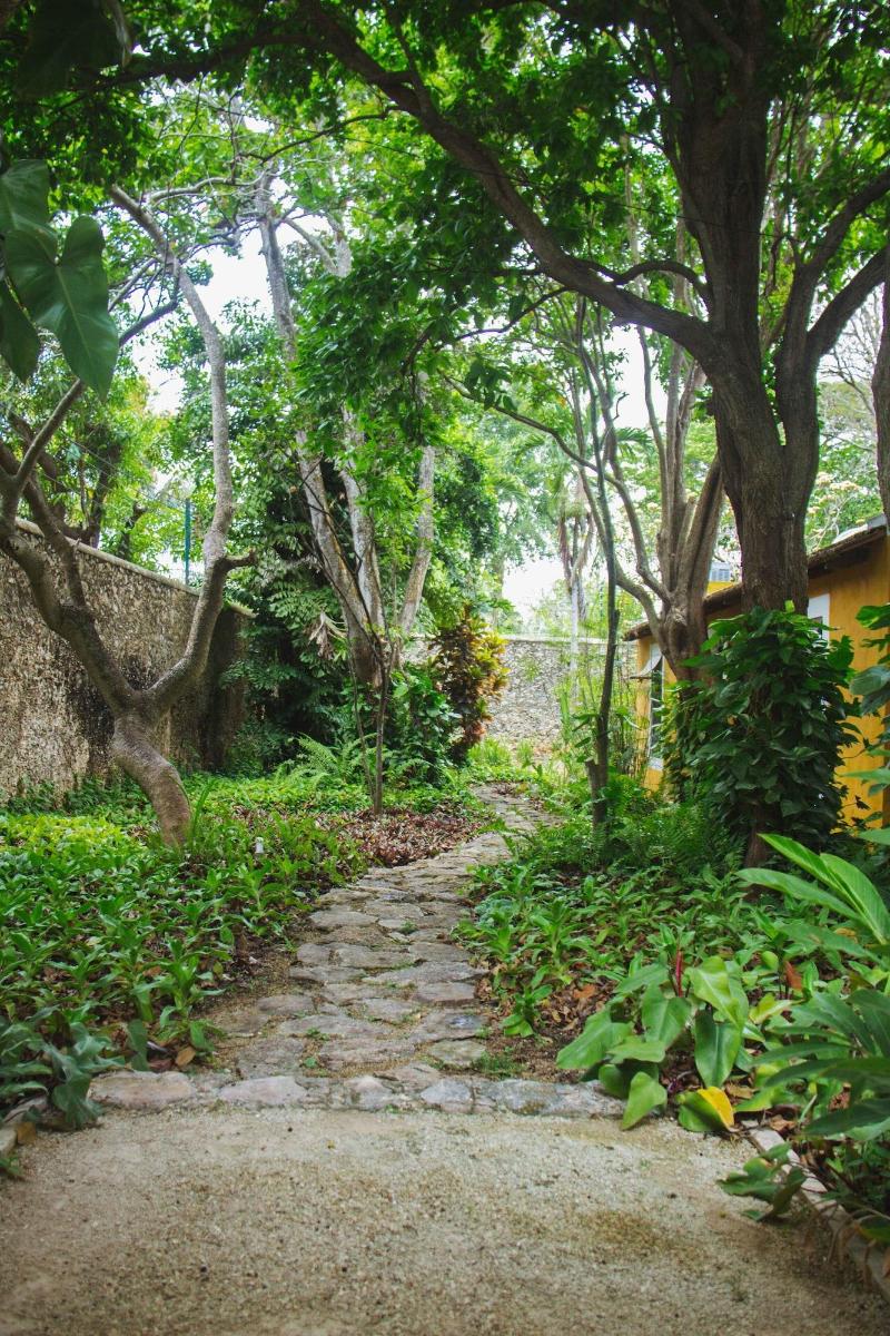 Hacienda San Antonio Millet image